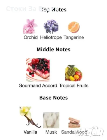 ПРОМОЦИЯ!!! Дамски арабски парфюм Lattafa Yara for Women EDP Spray 100 ml, снимка 14 - Дамски парфюми - 49737421