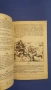 "Дракон в мазето" и "Тайната на орките" - книги-игри, снимка 4