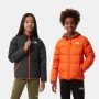Двулицево зимно пухено яке The North Face 550 , снимка 1