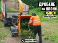 Професионално дробене на клони и почистване на терени – Варна, снимка 3