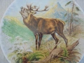 № 8531 Винтидж порцеланово пано с елен – Kaiser Germany , снимка 2