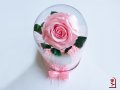 Подарък за Рожден ден на Жена / Истинска Розова Роза в Стъкленица / Жива Вечна Роза, снимка 3