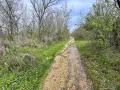 Парцел 907 кв.м. в Казанлък Вилна Зона "Стари Лозя" зад Художествената Гимназия , снимка 8