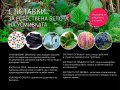 Избелваща фитопаста с дървесен въглен, снимка 2