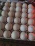 Пуешки яйца , снимка 1 - Кокошки и пуйки - 41474354