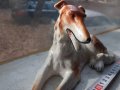 Порцелан прекрасна фигура на куче Германия печат, снимка 7