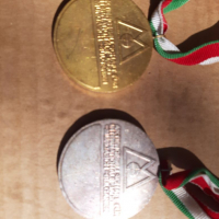 Два броя медали, снимка 3 - Колекции - 36216483