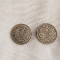 Монета 20 хелера 1894,1895г. в добро състояние.Изпращам по Еконт., снимка 1 - Нумизматика и бонистика - 36385925