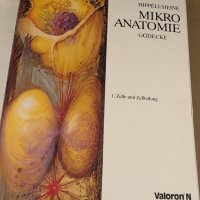 Mikro Anatomie Gödecke- HIPPELI / HEINE , снимка 1 - Специализирана литература - 34695398