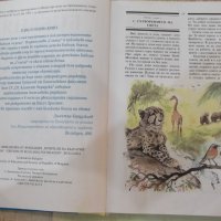 Книга "Библия за деца - издателство *Слънце*" - 184 стр., снимка 3 - Специализирана литература - 42527672