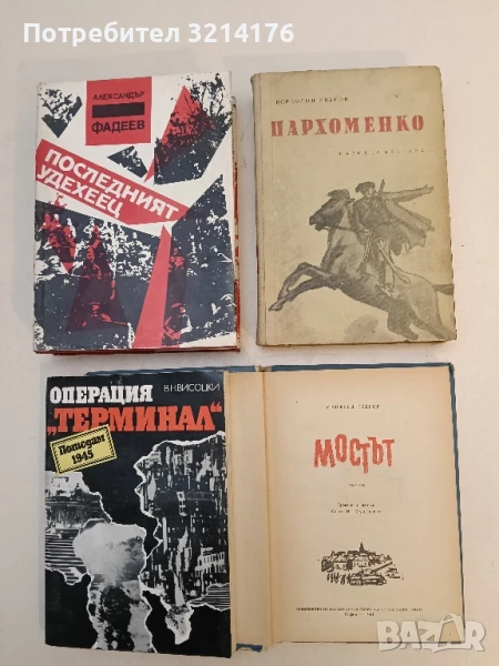 Мостът - Манфред Грегор, снимка 1