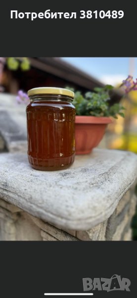 100% Натурален пчелен мед. (Полифлорен), снимка 1
