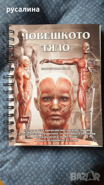 Книга за човешкото тяло, снимка 1