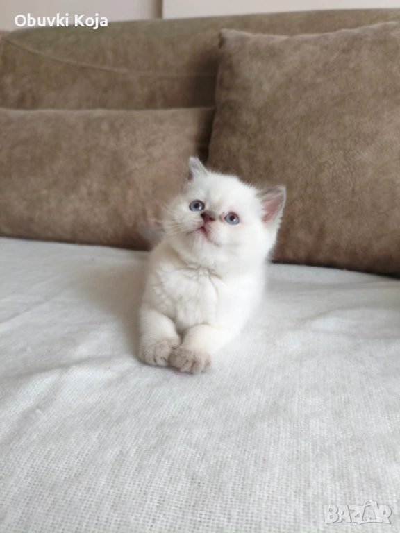 Не е красивв уникален е страхотен подарък за вашите любими , снимка 1