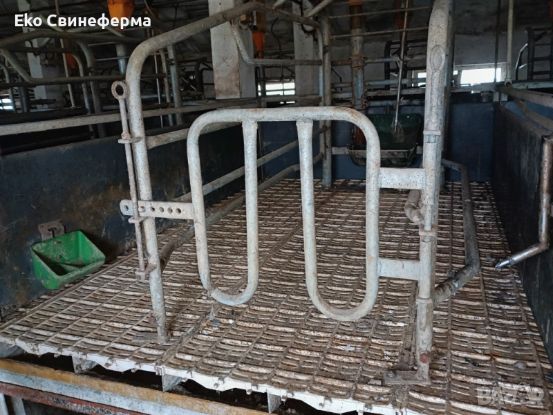 Повдигнат бокс свине майки лактиращи/млекарски/ - раждане и бозайници. , снимка 1