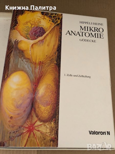 Mikro Anatomie Gödecke- HIPPELI / HEINE , снимка 1