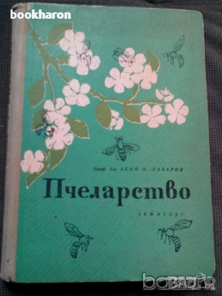 Пчеларство, снимка 1
