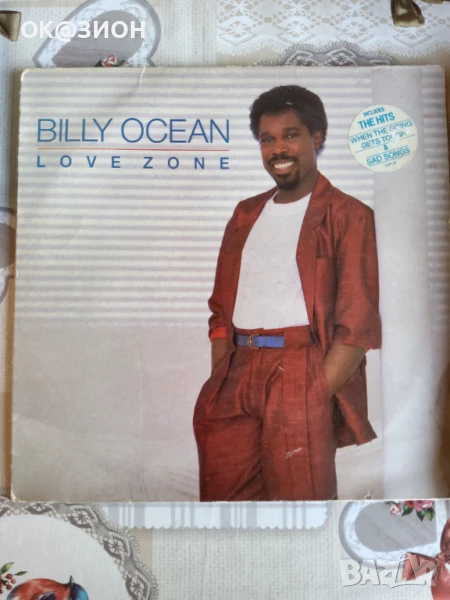 Плочи разнообразие 12, снимка 1