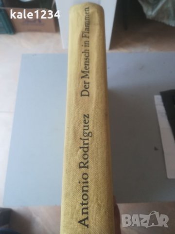 Албум. Мексико. Антонио Родригес. 1967г. Живопис. Стенописи. Изкуство. Der Mensch in Flammen. Музей , снимка 17 - Специализирана литература - 35980400