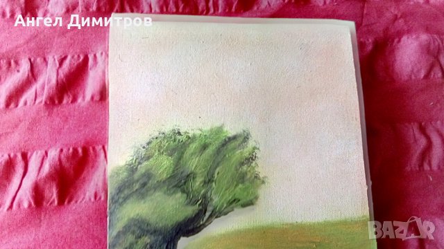 Маслена картина платно подписана , снимка 6 - Картини - 41953488