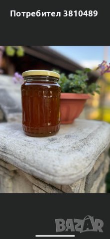100% Натурален пчелен мед. (Полифлорен), снимка 1 - Пчелни продукти - 41811981