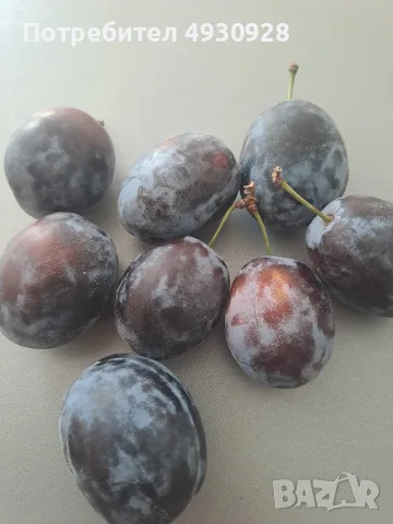 Сливи за ракия 0.40€