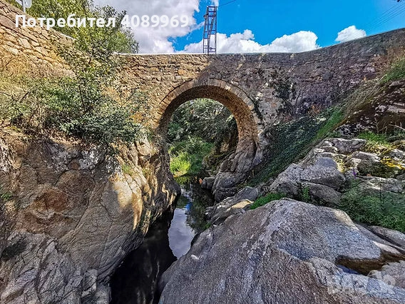 СОБСТВЕНИК продава парцел 1227 кв.м до река – с. Турия, снимка 3 - Парцели - 53769574