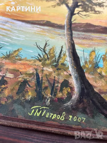 П. Петров майсторска картина, снимка 2 - Картини - 49752347