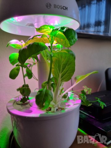 Bosch SmartGrow 3 - домашно градинарство, снимка 3 - Други - 44334800