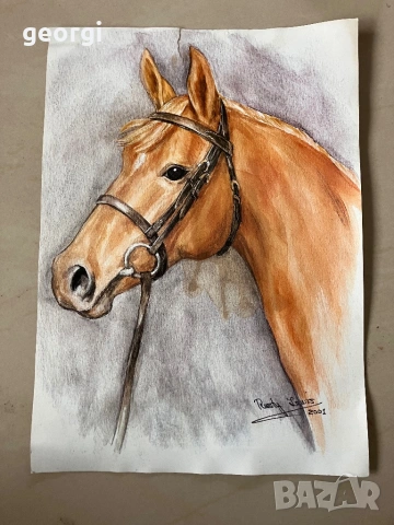 Картини с изображения коне, снимка 2 - Картини - 53435302