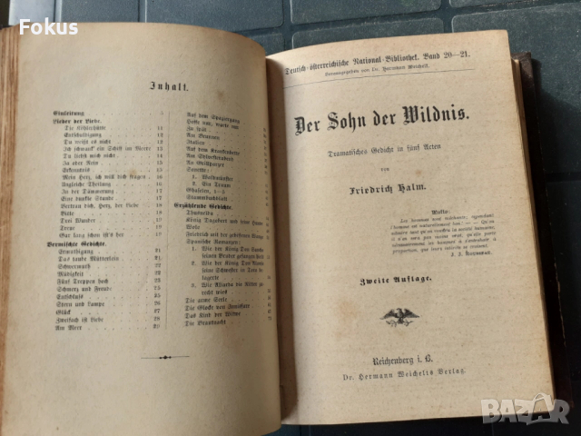 СТАРА АНТИКВАРНА КНИГА - ФРИДРИХ ХОЛМ, снимка 5 - Антикварни и старинни предмети - 53486914