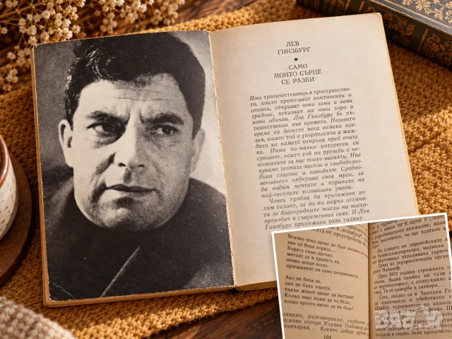 Само моето сърце се разби - Лев Гинзбург