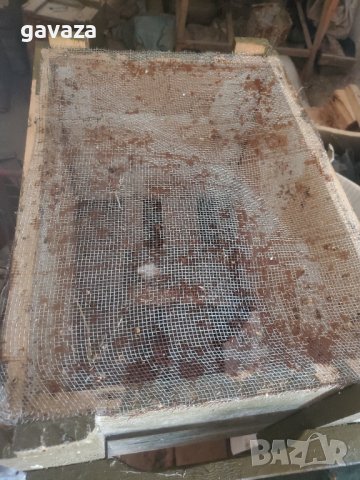 Кошври-Сандъци -даданблат , снимка 2 - Други животни - 41764245