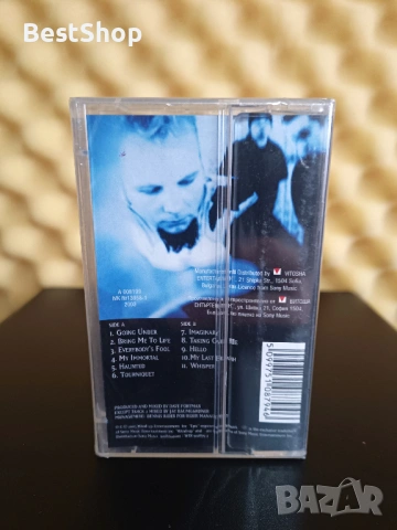 Evanescence - Fallen, снимка 2 - Аудио касети - 53338422