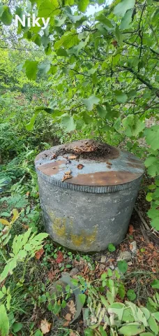 Имот в село Дралфа , снимка 3 - Къщи - 47945318