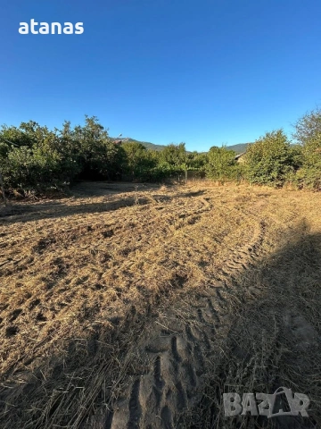 Оране фрезоване и мулчиране на дворове, снимка 9 - Други услуги - 53048896