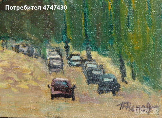 Петър Ненов маслени бои пейзаж от София, снимка 6 - Картини - 53635797