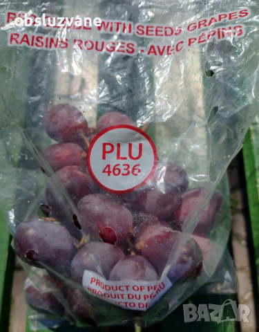 Семена от много едро перуанско червено грозде, снимка 2 - Сортови семена и луковици - 36432053