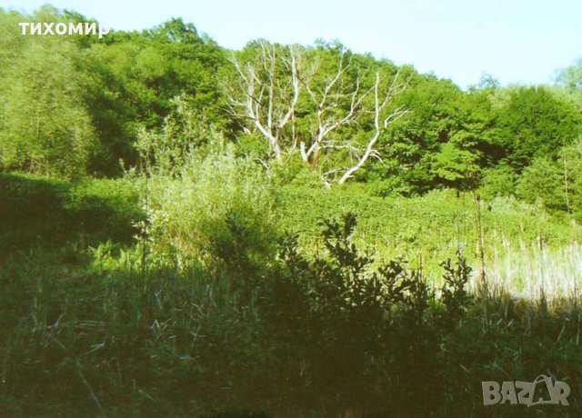 Имот на река Батова,подходящ за хижа с водоем,ваканционно селище,частно имение,рибарници., снимка 4 - Земеделска земя - 41911700