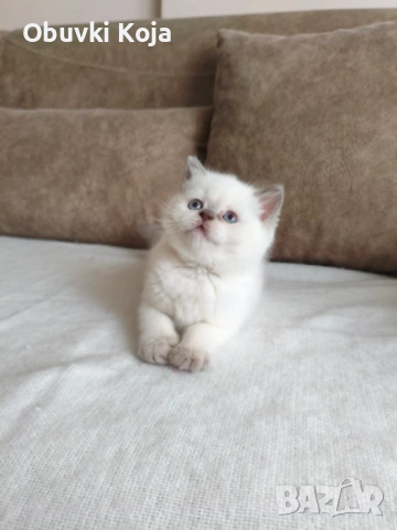 Не е красивв уникален е страхотен подарък за вашите любими 