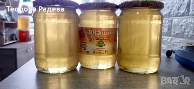 АКАЦИЕВ 🐝МЕД🐝 2024🍯 , снимка 1 - Пчелни продукти - 40012338