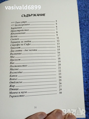 Щерю Толев - Вик, снимка 5 - Българска литература - 53579631