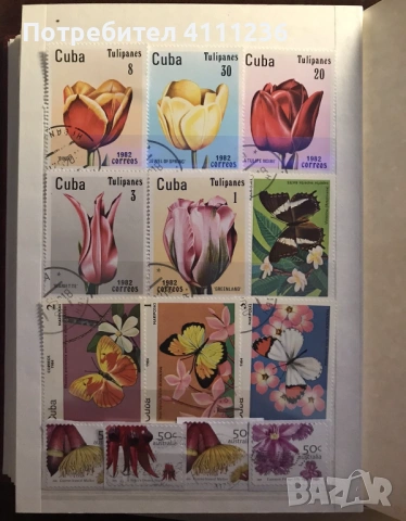 Класьор с марки на тема "Цветя", снимка 17 - Филателия - 53611717