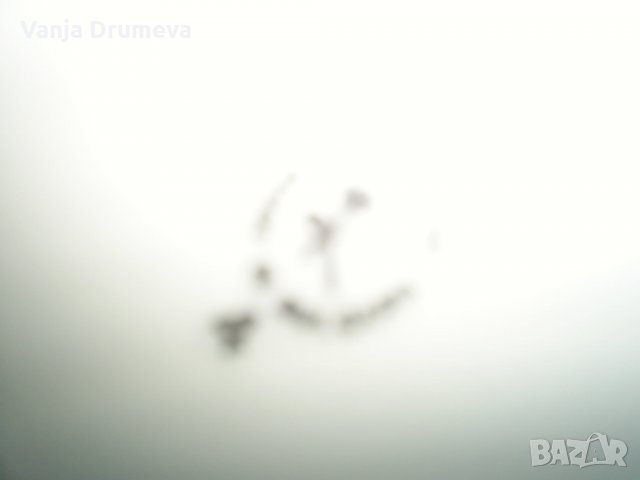 комплект чаши и чинии от стар бг порцелан със златен кант, снимка 7 - Сервизи - 34089363