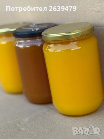Пчелен мед на тенекии (полифлорен), снимка 2 - Пчелни продукти - 39117405