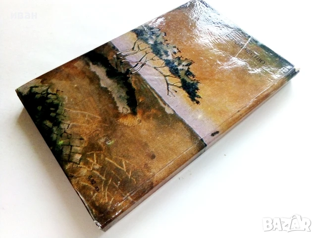 Да яздиш диво пони - Джеймс Олдридж - 1984г., снимка 4 - Детски книжки - 51004124