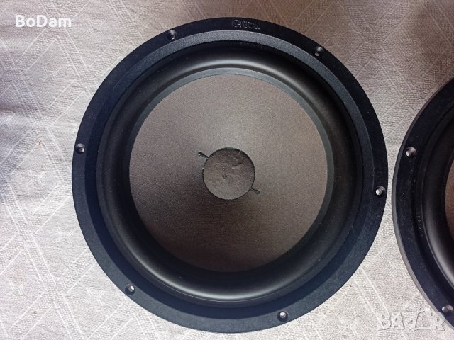 Говорители 10 инчови Canton, снимка 3 - Тонколони - 42323821