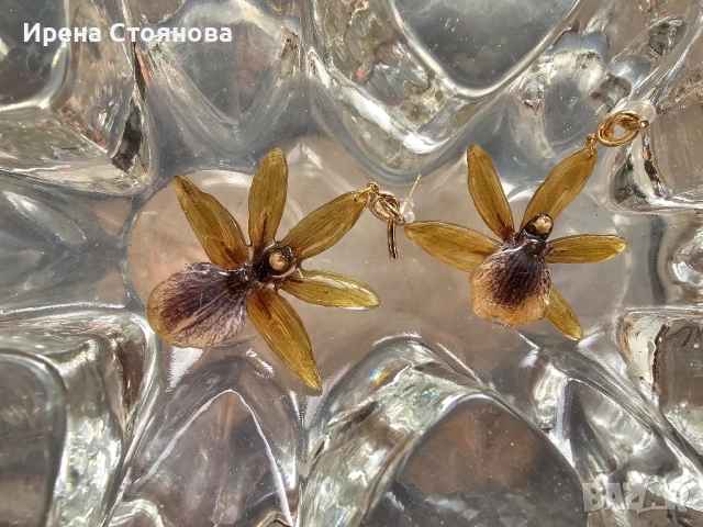 Обеци с естествен цвят на орхидея Камбриа, снимка 7 - Обеци - 52364889