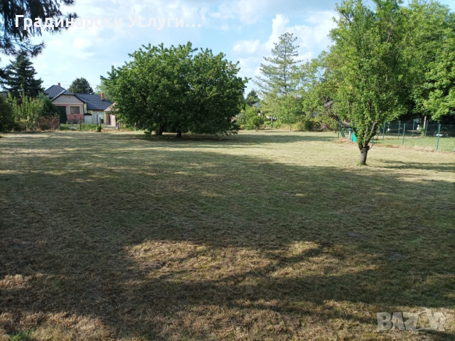 Предлагаме косене, отстраняване и кастрене на дървета, оформяне на храсти и други градинарски услуги, снимка 6 - Други почистващи услуги - 53608621