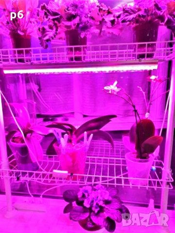Лампа за бърз растеж Фито лампа Растения Лед Осветление Разсад Лепило Стелаж, снимка 8 - Оранжерии - 35718119